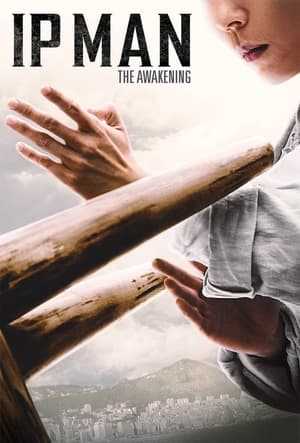 Ip Man: The Awakening (2022) Hindi Dual Audio HDRip | 4K Ultra HD – 480p