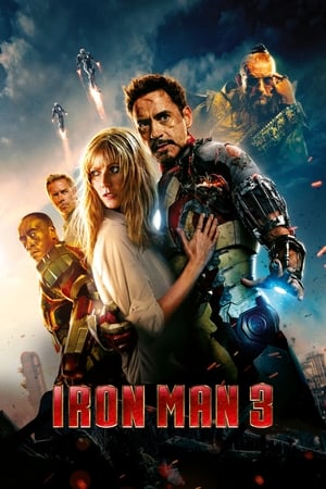 Iron Man 3 (2013) Hindi Dual Audio | 4K Ultra HD BluRay [1GB]