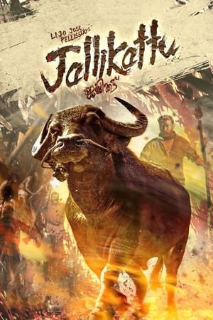Jallikattu (2019) (Hindi – Malayalam) Dual Audio UnCut HDRip | 4K Ultra HD – 480p