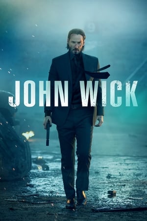 John Wick (2014) Hindi Dual Audio | 4K Ultra HD BluRay 300MB ESubs