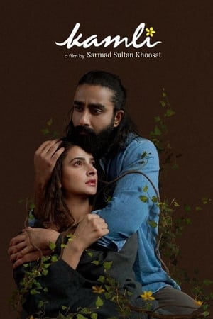 Kamli (2022) Urdu Movie HDCAM | 4K Ultra HD – 480p