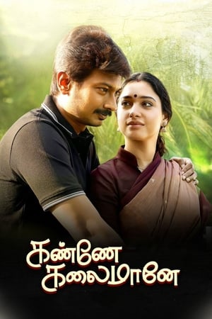 Kanne Kalaimaane 2019 (Hindi -Tamil) Dual Audio | 4K Ultra HD UnCut HDRip [1GB]