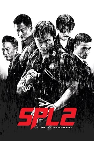 Kill Zone 2 (2015) Hindi Dual Audio | 4K Ultra HD BluRay [1.5GB] ESubs