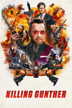 Killing Gunther 2017 Hindi Dual Audio | 4K Ultra HD BluRay [800MB]