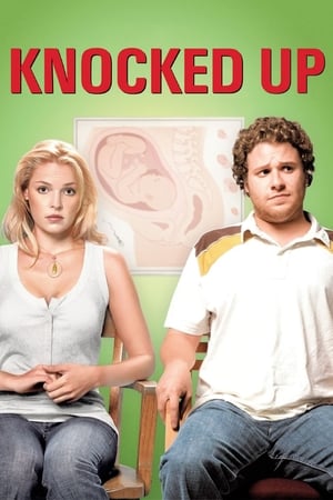 Knocked Up (2007) Hindi Dual Audio | 4K Ultra HD BluRay [1GB]