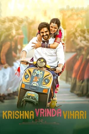 Krishna Vrinda Vihari (2022) (Hindi – Telugu) Dual Audio UnCut HDRip | 4K Ultra HD – 480p