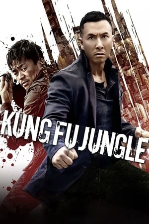 Kung Fu Jungle (2014) Hindi Dual Audio | 4K Ultra HD BluRay [800MB]