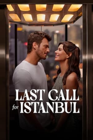 Last Call for Istanbul 2023 Hindi Dual Audio HDRip | 4K Ultra HD – 480p