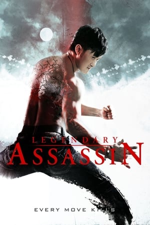 Legendary Assassin (2008) Hindi Dual Audio | 4K Ultra HD BluRay [1GB]