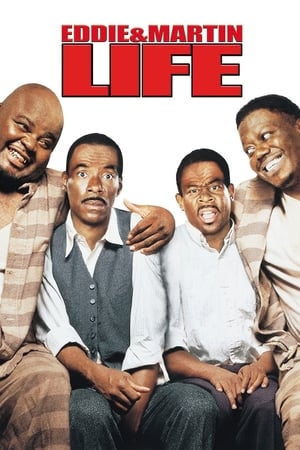 Life (1999) Hindi Dual Audio | 4K Ultra HD BluRay [1.3GB]