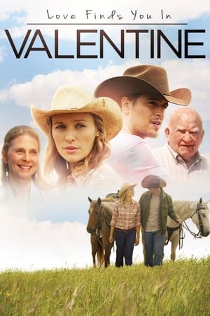 Love Finds You in Valentine (2016) Hindi Dual Audio | 4K Ultra HD BluRay 300MB