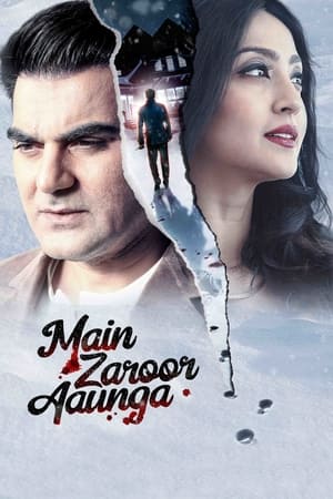 Main Zaroor Aaunga 2019 Hindi Movie | 4K Ultra HD HDRip - [260MB]