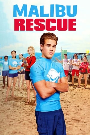 Malibu Rescue (2019) Hindi Dual Audio | 4K Ultra HD HDRip [1.4GB]