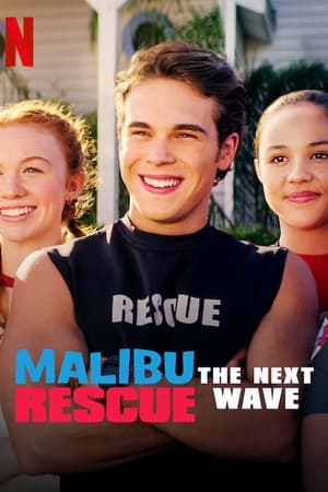 Malibu Rescue: The Next Wave (2020) Hindi Dual Audio | 4K Ultra HD Web-DL 230MB