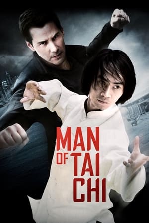 Man of Tai Chi (2013) Hindi Dual Audio HDRip | 4K Ultra HD – 480p