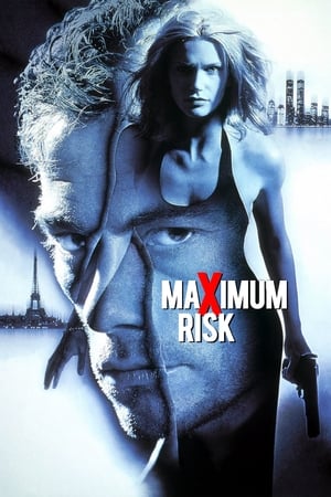 Maximum Risk (1996) Dual Audio | Hindi Full Movie BluRay [850MB]