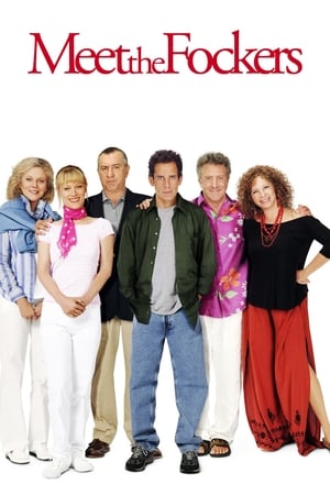 Meet the Fockers (2004) Hindi Dual Audio | 4K Ultra HD BluRay [1.1GB]