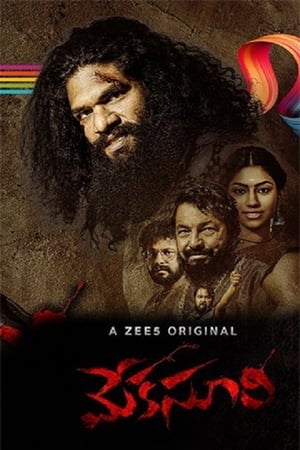 Meka Suri 2020 Hindi Movie | 4K Ultra HD HDRip – [250MB]