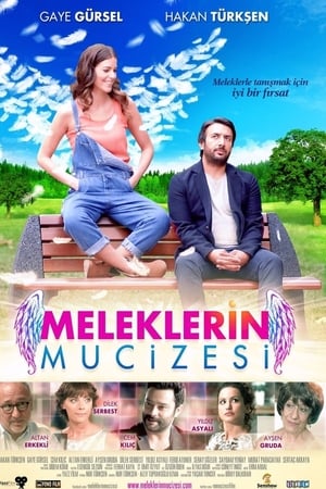 Meleklerin mucizesi (2014) Hindi Dual Audio | 4K Ultra HD Web-DL 280MB