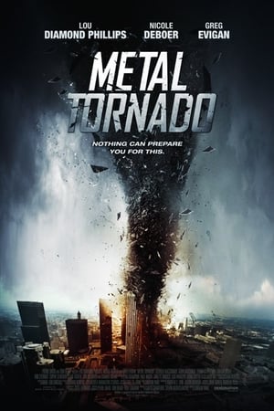 Metal Tornado 2011 Hindi Dual Audio | 4K Ultra HD BluRay [1GB]