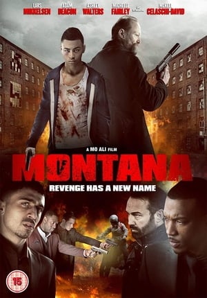 Montana (2014) Hindi Dual Audio | 4K Ultra HD BluRay 350MB