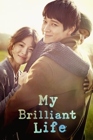 My Brilliant Life (2014) Hindi Dual Audio HDRip | 4K Ultra HD – 720p – 480p