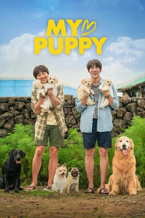 My Heart Puppy (2022) Hindi Dual Audio HDRip | 4K Ultra HD – 480p