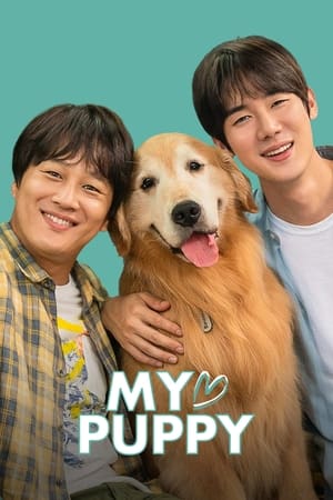 My love puppy (2022) Hindi Dual Audio HDRip | 4K Ultra HD – 480p