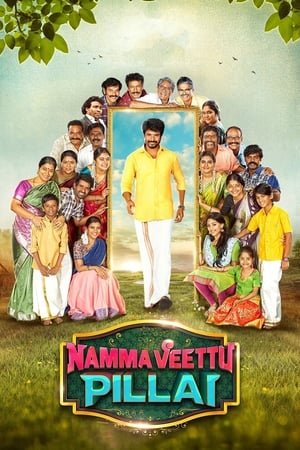 Namma Veettu Pillai (2019) (Hindi -Tamil) Dual Audio | 4K Ultra HD UnCut HDRip [1.4GB]