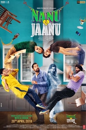 Nanu Ki Jaanu (2018) Movie | 4K Ultra HD HDRip x264 [1GB]