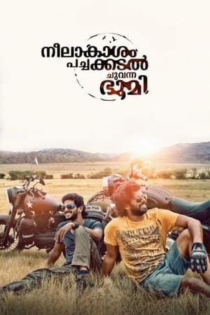 Neelakasham Pachakadal Chuvanna Bhoomi (2013) Hindi Dubbed | 4K Ultra HD HDRip 450MB