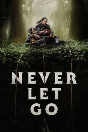 Never Let Go 2024 Hindi Dual Audio HDRip | 4K Ultra HD – 720p – 480p