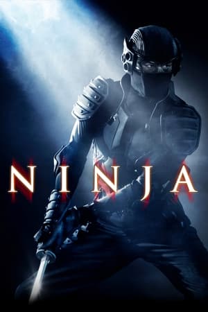 Ninja (2009) Hindi Dual Audio HDRip | 4K Ultra HD – 480p