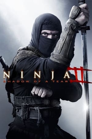Ninja Shadow of a Tear 2013 Hindi Dual Audio | 4K Ultra HD BluRay [800MB]