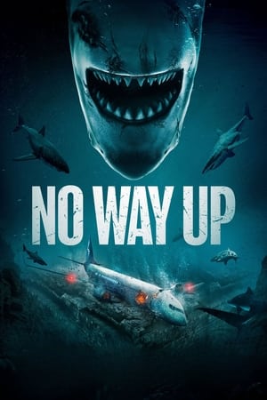 No Way Up (2024) Hindi Dual Audio HDRip | 4K Ultra HD – 480p – 1080p