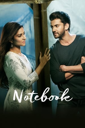 Notebook (2019) Hindi Movie | 4K Ultra HD HDRip - [400MB]