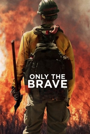 Only the Brave 2017 Hindi Dual Audio HDRip | 4K Ultra HD – 480p