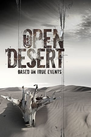 Open Desert (2013) Hindi Dual Audio HDRip | 4K Ultra HD – 480p
