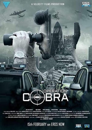 Operation Cobra (2019) Season 1 Hindi HDRip | 4K Ultra HD & 480p [Complete]