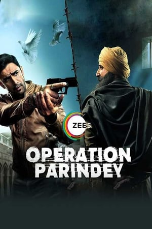 Operation Parindey 2020 Hindi Movie | 4K Ultra HD HDRip - [200MB]