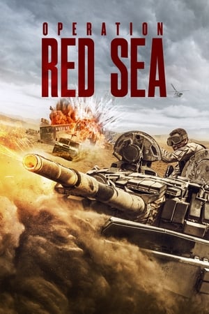 Operation Red Sea (2018) Hindi Dual Audio | 4K Ultra HD BluRay [1.3GB]
