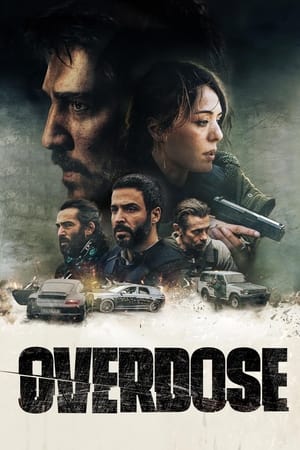 Overdose 2022 Hindi Dual Audio HDRip | 4K Ultra HD – 480p