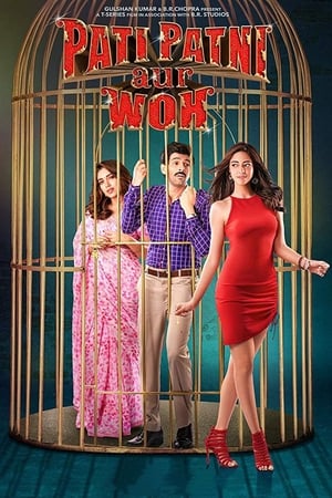 Pati Patni Aur Woh 2019 Hindi Movie | 4K Ultra HD HDRip – [350MB]