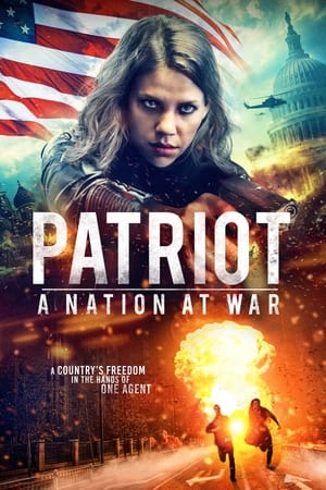 Patriot A Nation at War 2020 Hindi Dual Audio | 4K Ultra HD Web-DL 300MB