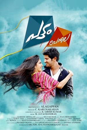 Pattam Pole (2013) (Hindi – Malayalam) Dual Audio | 4K Ultra HD UnCut HDRip 400MB