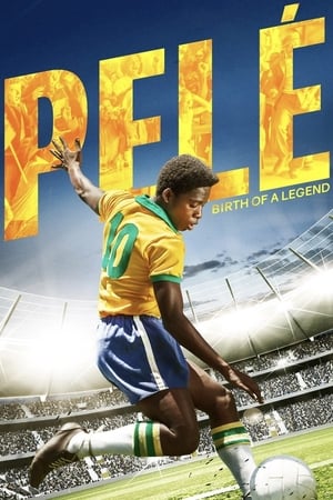 Pele Birth of a Legend (2016) Hindi Dual Audio | 4K Ultra HD BluRay [900MB]
