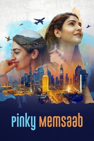 Pinky Memsaab 2018 Urdu Movie | 4K Ultra HD HDRip - [360MB]