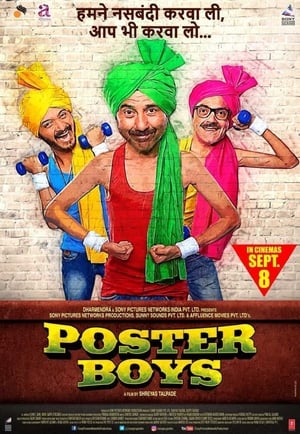 Poster Boys 2017 350MB Full Movie | 4K Ultra HD HDRip Download