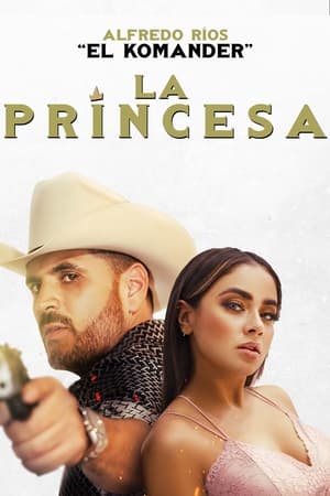Prince 2022 Hindi (HQ Dubbed) Movie Pre-DVDRip | 4K Ultra HD – 480p