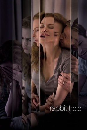 Rabbit Hole (2010) Hindi Dual Audio | 4K Ultra HD BluRay 300MB
